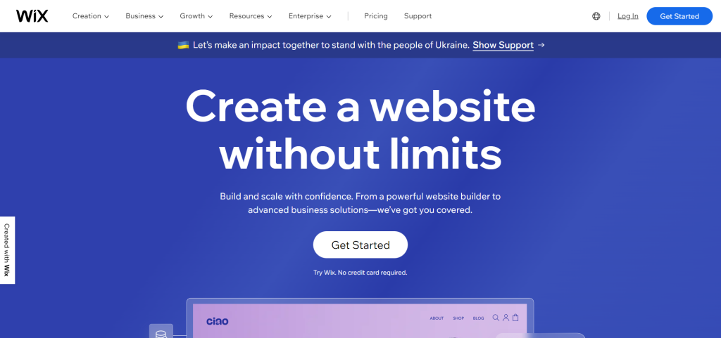 Keterbatasan Website Gratis